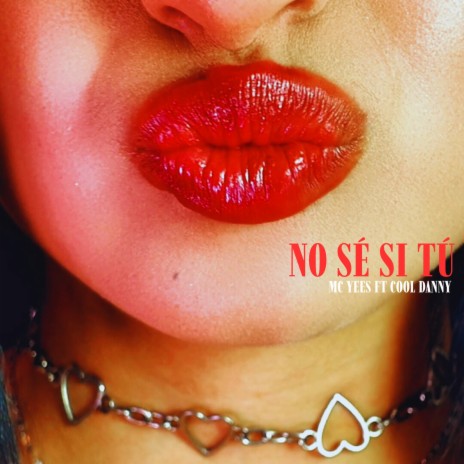 No Sé Si Tú ft. COOL DANNY cover art