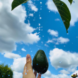 Blue Skies, Beats and Avocados