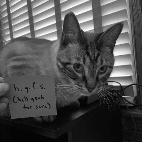 h.y.f.s. ft. bear. cover art