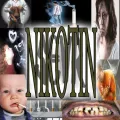 NIKOTIN