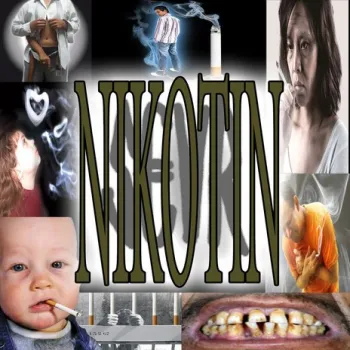 NIKOTIN cover art