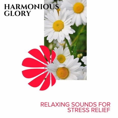 Hollow Heart ft. Orange Paradise Spa