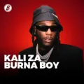 B. D'OR ft. Wizkid