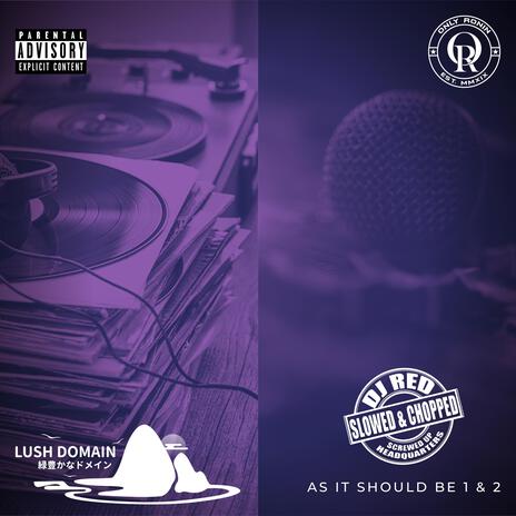 Make It All Make Sense (Slowed & Chopped) ft. DJ Red cover art