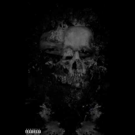 NO STYLIST cover art