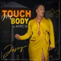 Touch My Body ft. Afro B