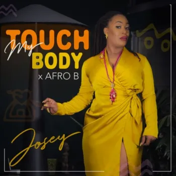 Touch My Body ft. Afro B cover art