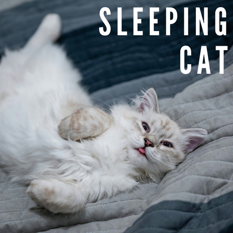 Soft Kitty Slumber ft. Cat Music Therapy & Cat Relax Music