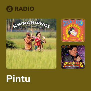 Pintu Radio