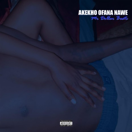 Akekho Ofana Nawe cover art