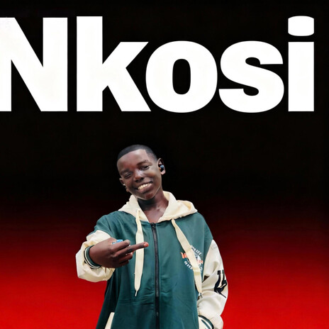 Nkosi (Allnight Remix) ft. Allnight cover art