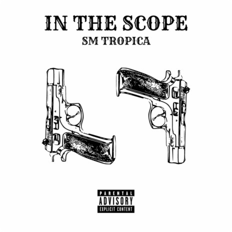 IN THE SCOPE
