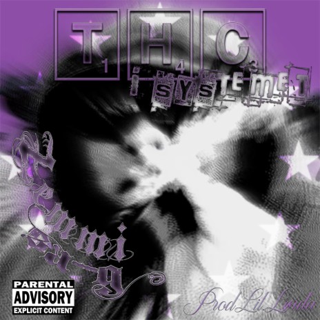 THC I SYSTEMET ft. Zemmi & sa_g
