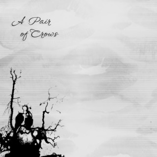 A Pair of Crows