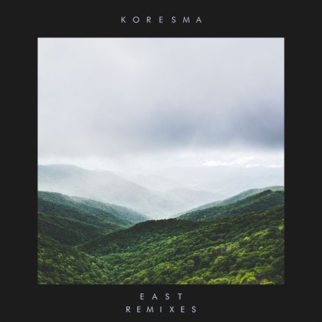 Forest Sang (Good Lee Remix) cover art