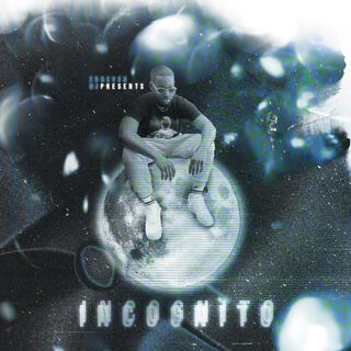 INCOGNITO (DELUXE)
