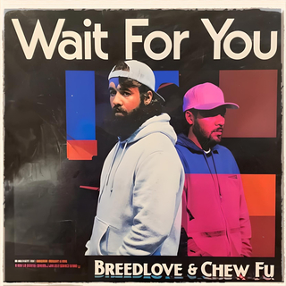 Wait For You ft. Chew Fu cover art
