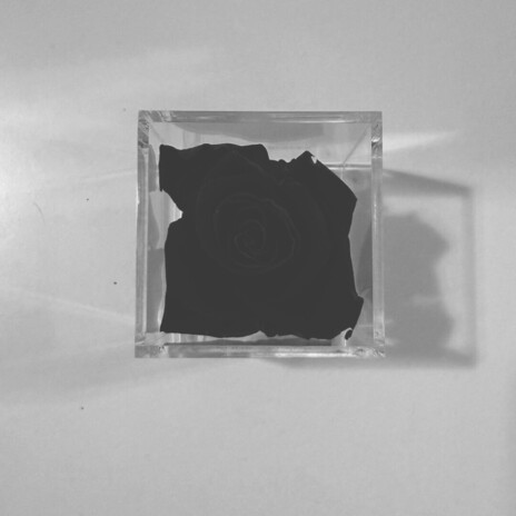 Porcelain & Pain cover art
