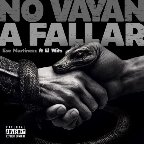 No Vayan a Fallar ft. el wits
