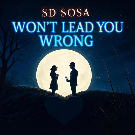 Won't Lead You Wrong ft. Vellg0krxzy cover art