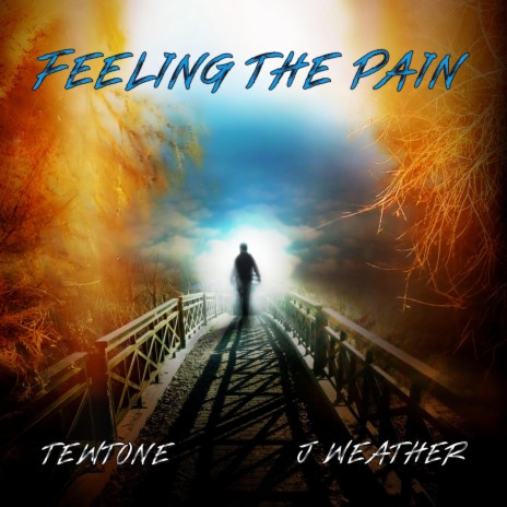 Feeling The Pain ft. J Weather cover art