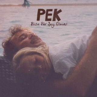 Bize Bir Şey Olmaz cover art