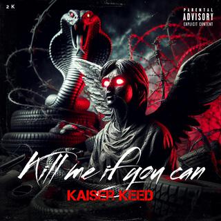 Kill me if you can cover art