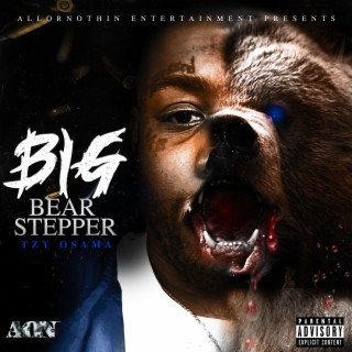 Big Bear Stepper