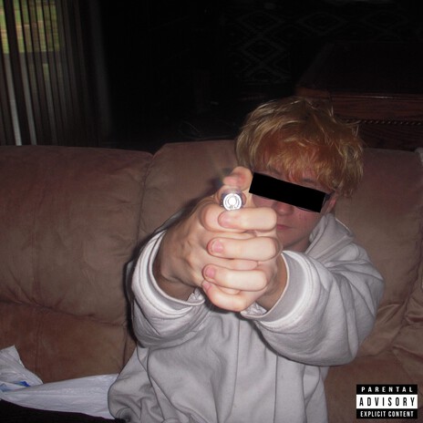 Twin Flame ft. DRCXXX cover art