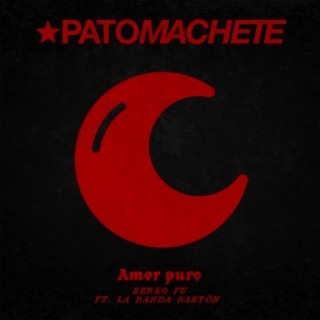 Amor Puro (feat. La Banda Baston) cover art