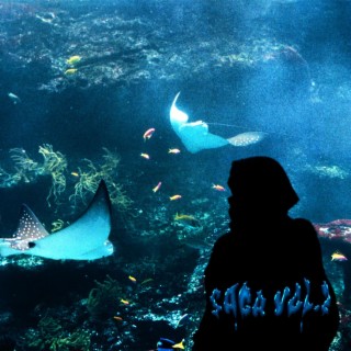 Saga, Vol. 2