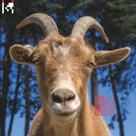 The External cover art