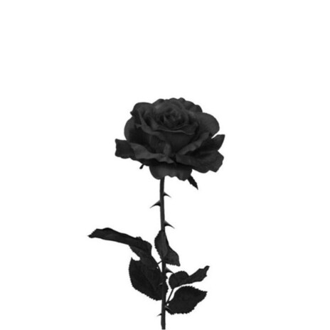 mommy cover art