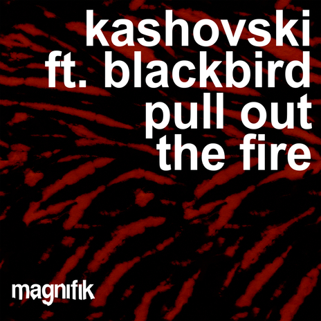 Pull Out The Fire ft. blackbird