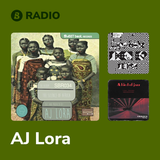 AJ Lora Radio