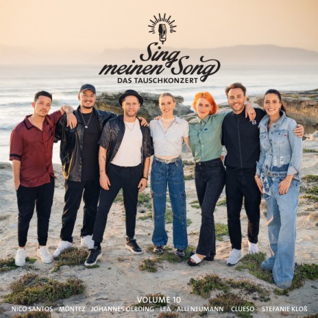 Ich hab dich nicht mehr zu verlier'n (aus Sing meinen Song, Vol. 10) cover art