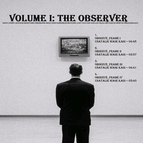 Observe Frame Iv