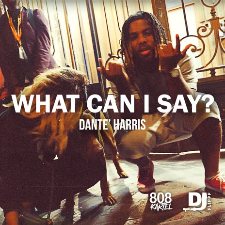 What Can I Say? cover art