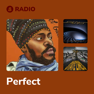 Perfect Radio
