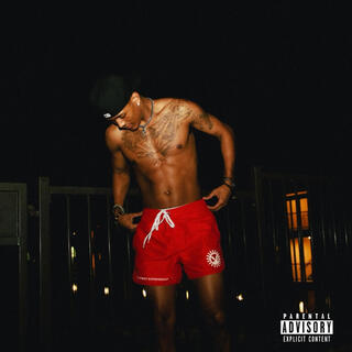 Reminiscing, Pt. 1 cover art