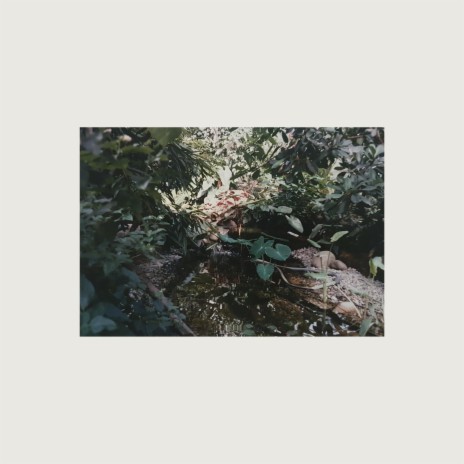 Blushing cover art