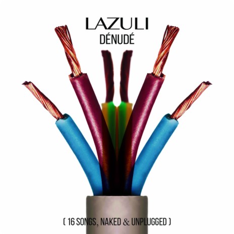 Mes semblables cover art