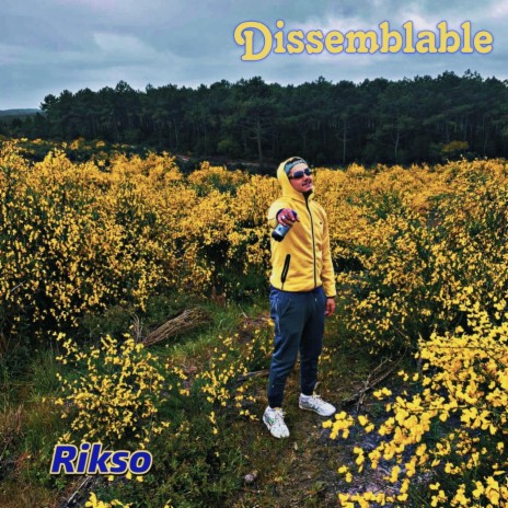 Sous le soleil cover art
