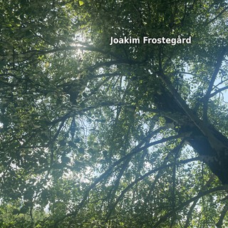 Joakim Frostegård