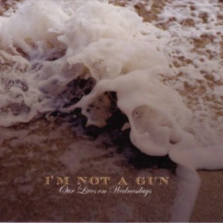 I'm Not A Gun