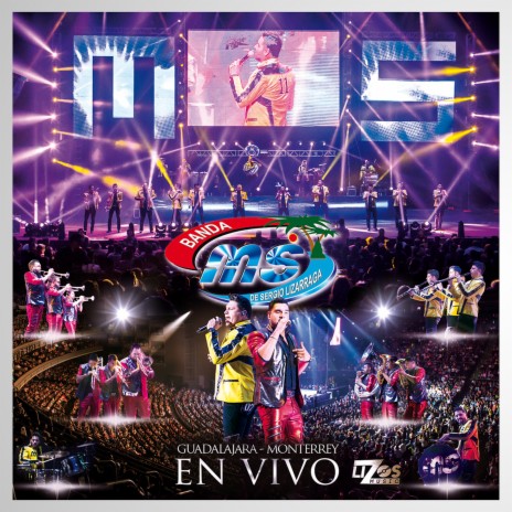 A Lo Mejor (En Vivo) cover art