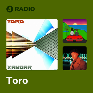 Toro Radio