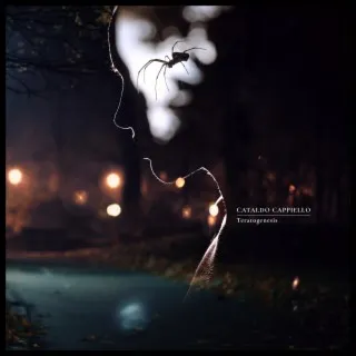 Funeral Walls cover art