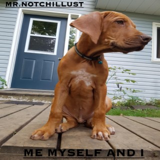 Mr.NotchilLust