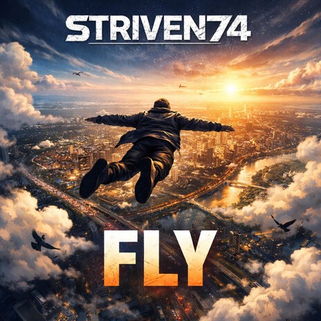 Fly cover art